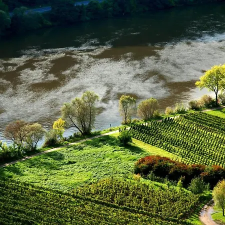 Weingut Helmut Barzen Apartment