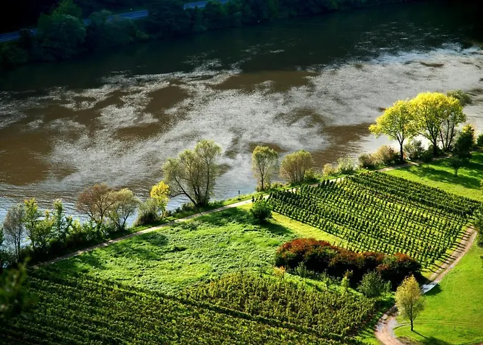 Weingut Helmut Barzen Appartement